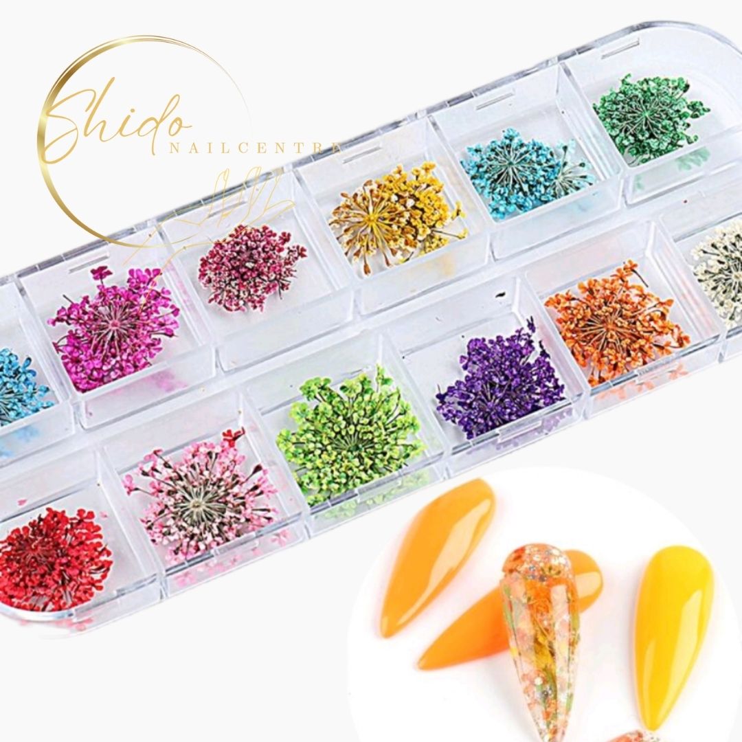 Flower mania - ShidoNails® - Droogbloemen voor nailart