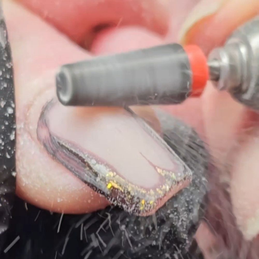 5-in-1 Carbide Freesbit - fijn - ShidoNails